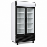 VISICOOLER LG-800F 2PTA 800L 100X72X200CM 0°C/+°5C AIRE FORZADO MASTERCOLD